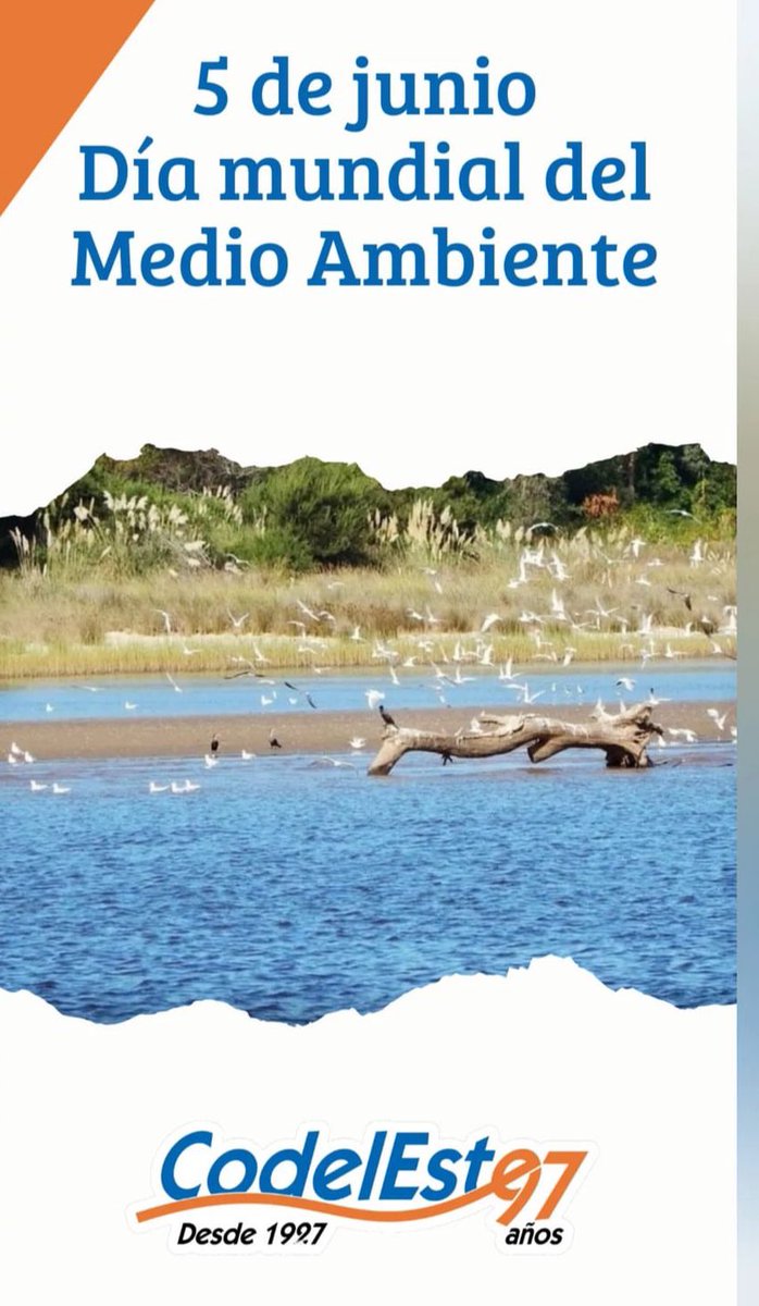 CodelEste's tweet photo. Porque no somos de otro Planeta! 🌍

Seguimos apostando a tomar medidas más amigables con el Medio Ambiente 🌱

Sumate vos también desde tu hogar, 
con pequeñas acciones que pueden marcar la diferencia ♻️

#medioambientelimpio
#reciclable
#medioambiente https://t.co/jZfB7XhBlj
