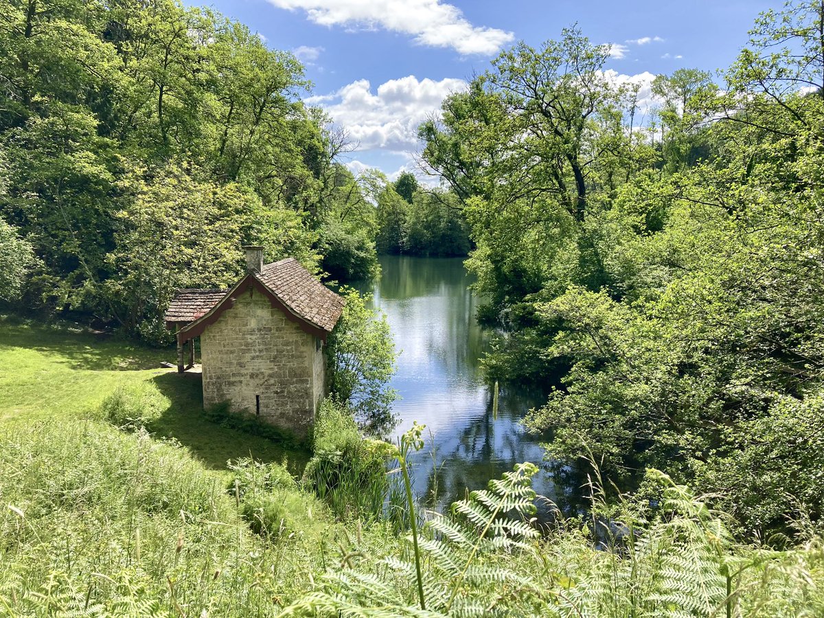 Susan Jones tweet media