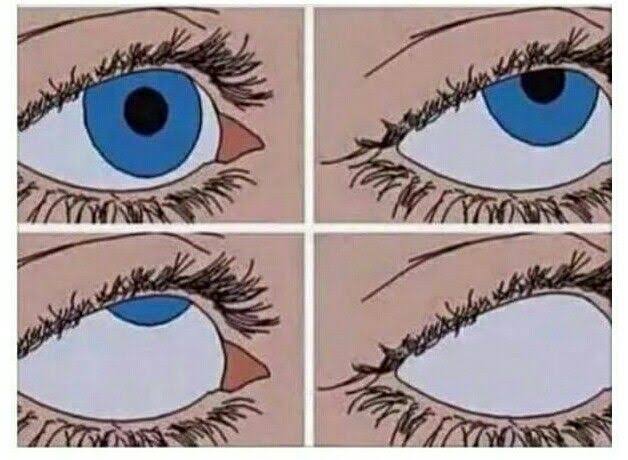 SamCifuentesZ's tweet photo. Yo cuando empiezan a discutir intensamente de politica...y defienden un partido o a un político, pero es q antes robaban más, pero es q vamos a ser Venezuela...y tu q piensas Sam? Ya no espero nada de la política mexicana, mejor me esfuerzo por ser buena ciudadana y persona, no?? https://t.co/6wOt1kdwNT