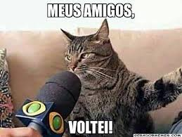 pinhaododeboche's tweet photo. volteeeeeeeeeeeeeeeeeeeeeie https://t.co/1EbbMsScti