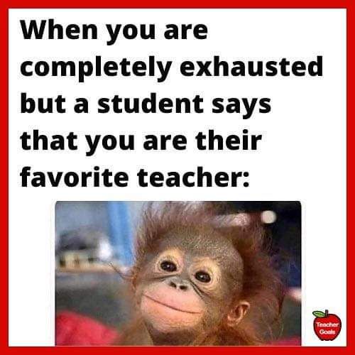 Love when that happens! 🧡
🌐 teachergoals.com