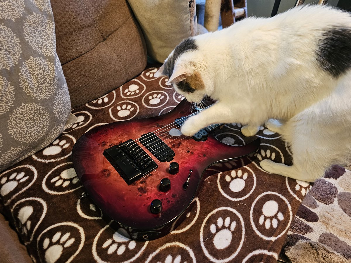 ogdimora's tweet photo. Alright Bug, that is NOT how you play guitar! Have you learned nothing from me?!? 🤣 https://t.co/mHiy4kSyGN