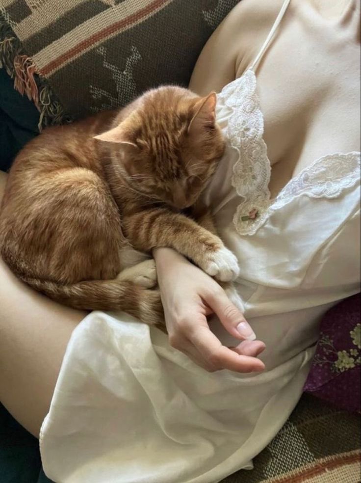ub7bej's tweet photo. แมวเดินสี่ขา แต่หนูชอบแค่ท่าหมา🥺🥺
ก็บอกเฉยๆ🤣 https://t.co/W81A49speT