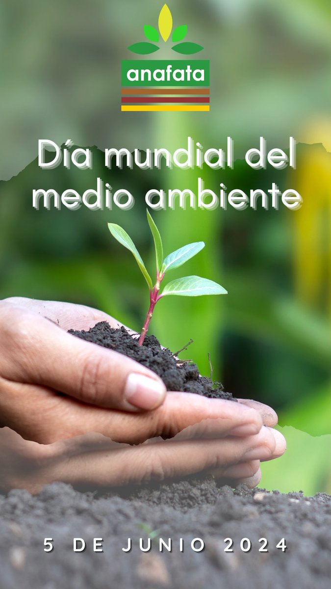 ANAFATA tweet media