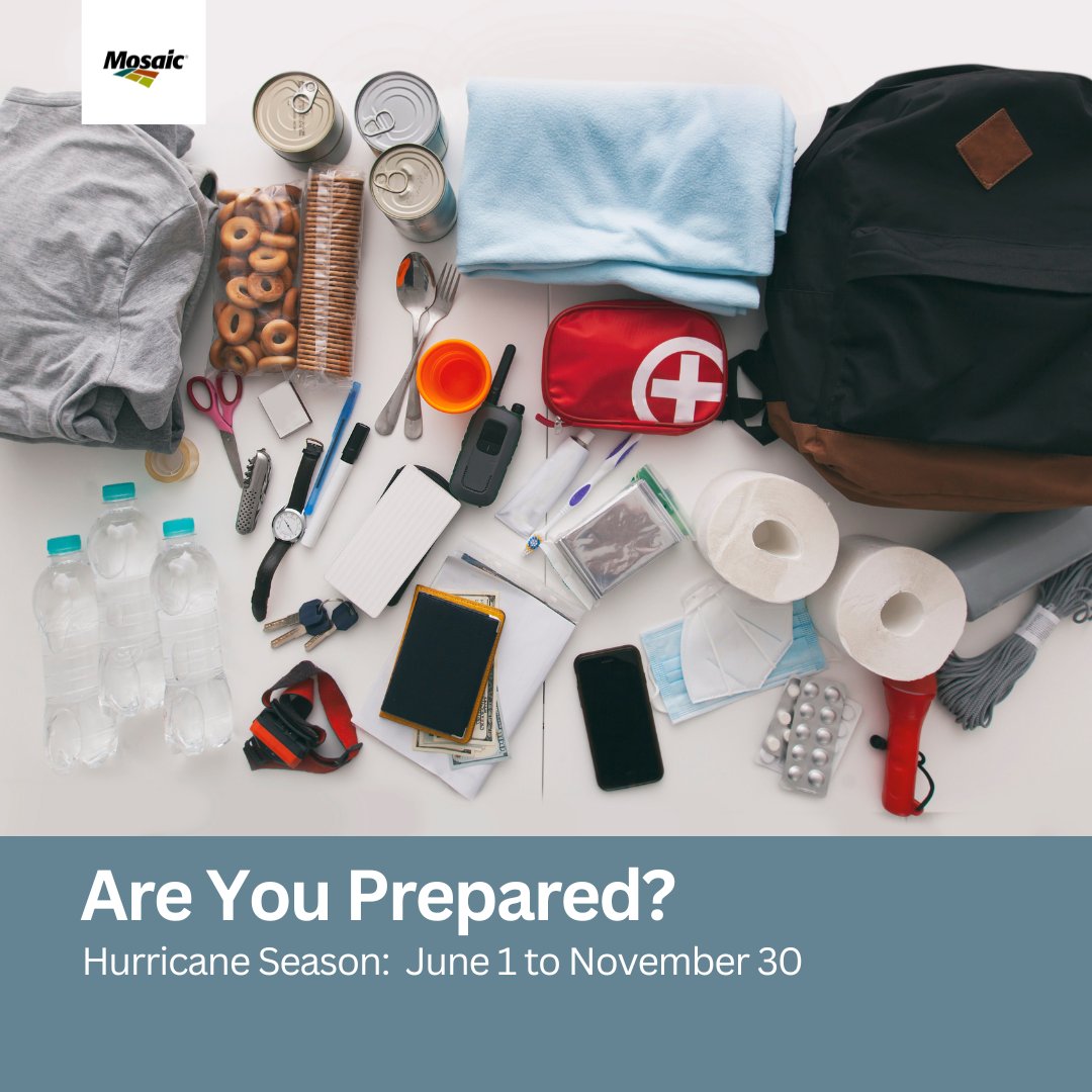 Mosaic in Florida tweet media