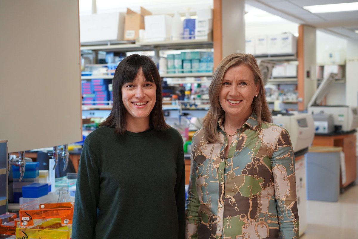 New in <a href="/Nature/">nature</a>: UCLA scientists led by Dr. Hanna Mikkola and <a href="/AguadeJulia/">Júlia Aguadé-Gorgorió</a> have identified a protein that plays a key role in regulating human blood stem cell self-renewal. This finding could help make life-saving stem cell transplants more available. ➡️ bit.ly/3x4UyFA