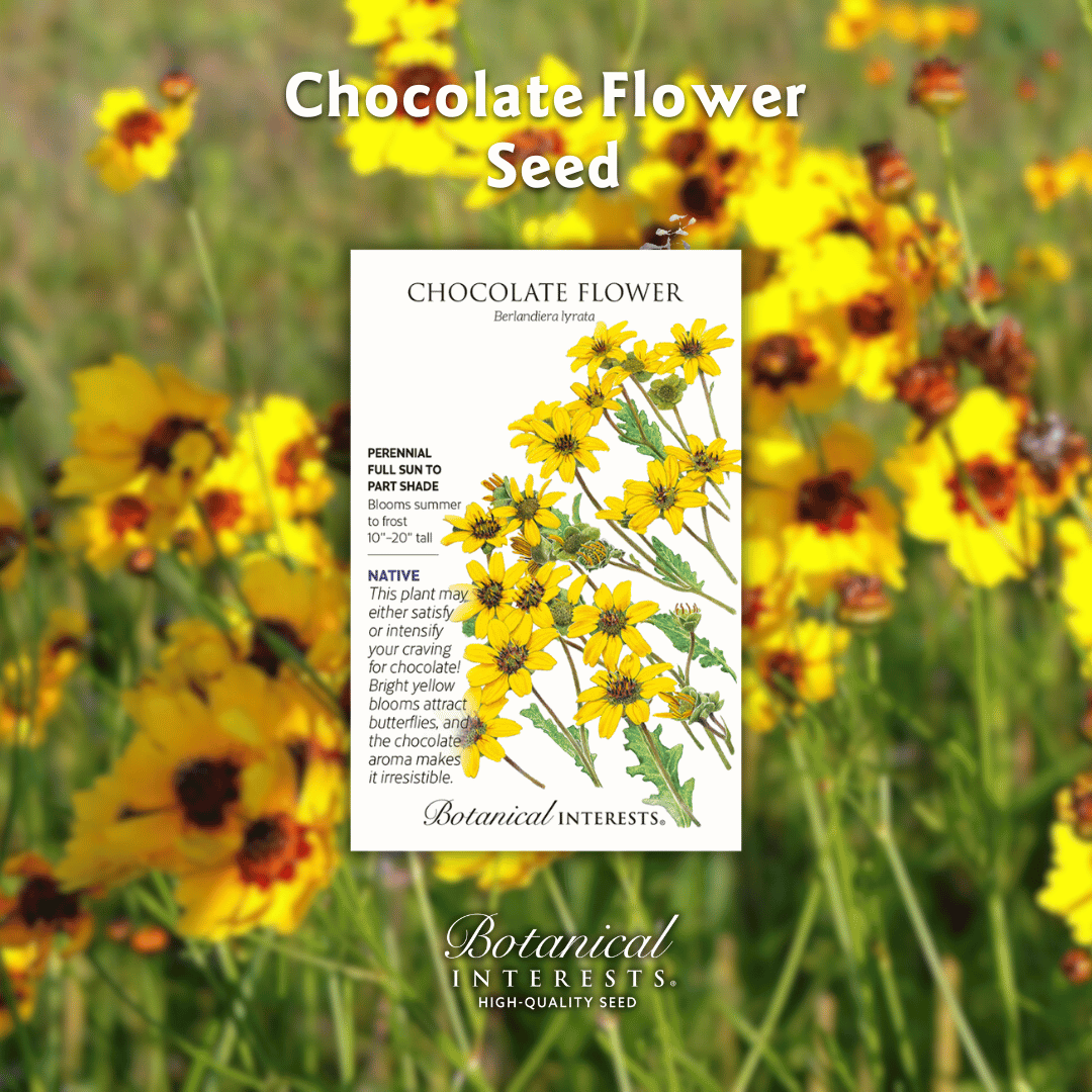 Botanical Interests 🌻 tweet media