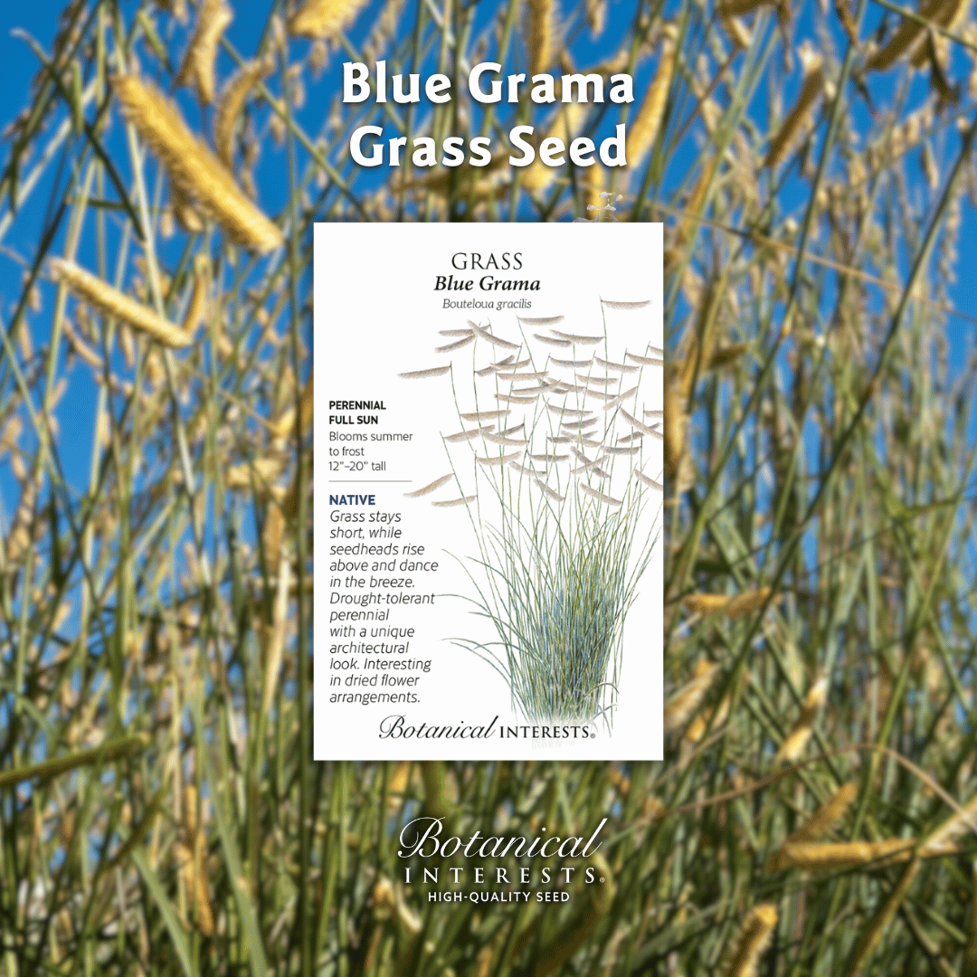 Botanical Interests 🌻 tweet media