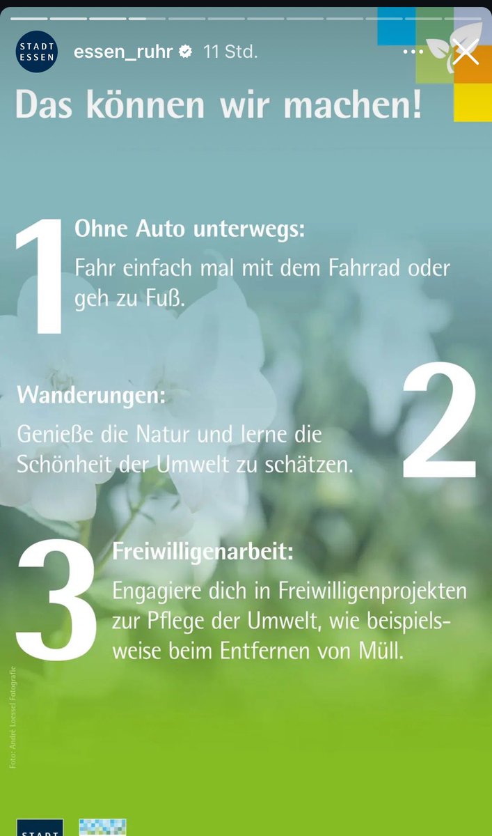 1. Hupe heute einfach wieder random Radfahrer und fußgänger an, weil sie existieren und sich nicht direkt in Luft auflösen, wenn du mit deiner Karre angefahren kommst
2. Parke, wie immer, auf dem Gehwegen oder im Kreuzungsbereich
3. Fahr Auto!!!