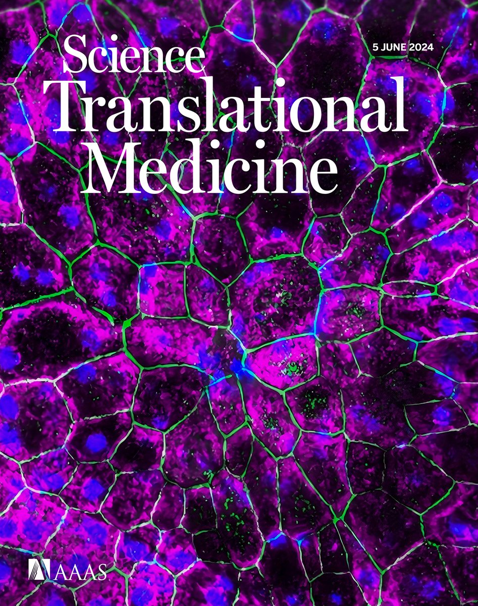 ScienceTM's tweet photo. This week's new issue of #ScienceTranslationalMedicine is out! 

Scientists construct a map of the plasma proteome to stratify patient outcomes in sepsis, manipulating the IRAK3 gene could protect the retina from age-related vision decline, and more. https://t.co/pSHh8KF5U9 https://t.co/mfSRI0kjuW