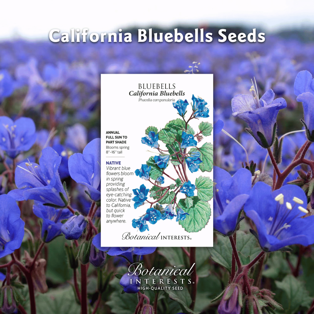 Botanical Interests 🌻 tweet media