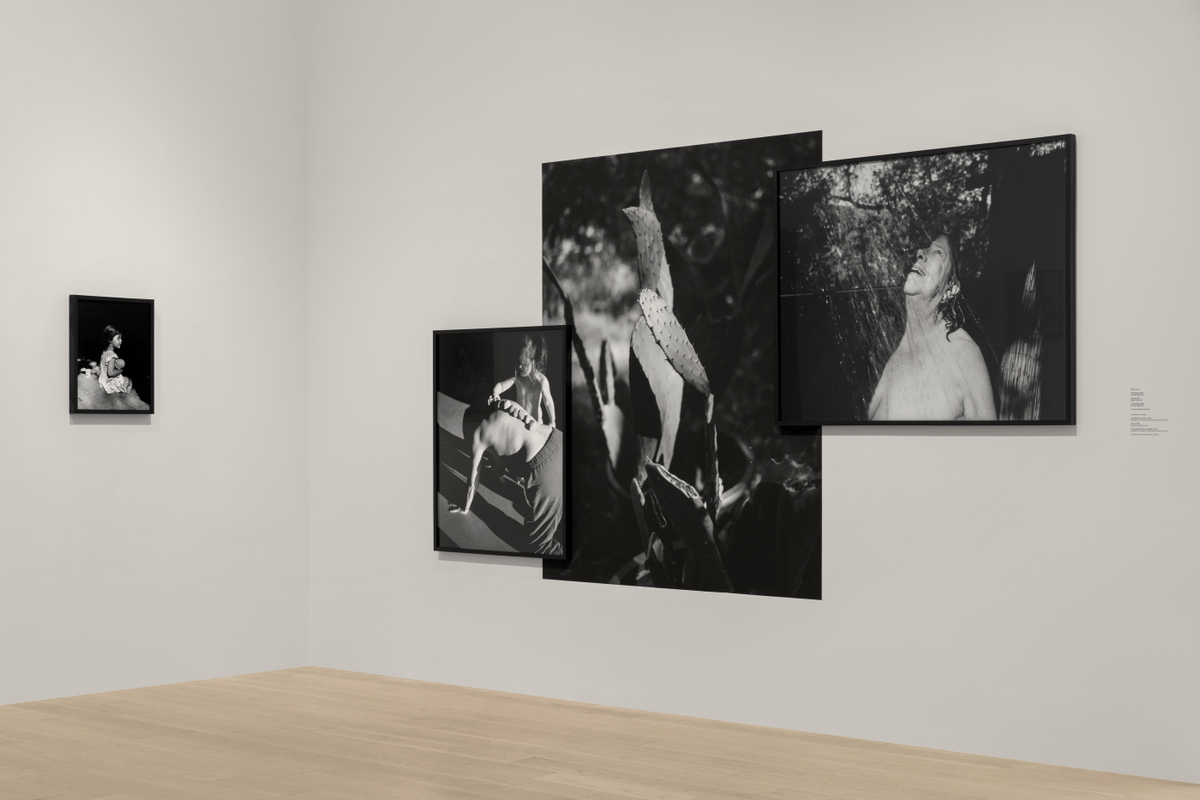 Institute of Contemporary Art, Miami tweet media