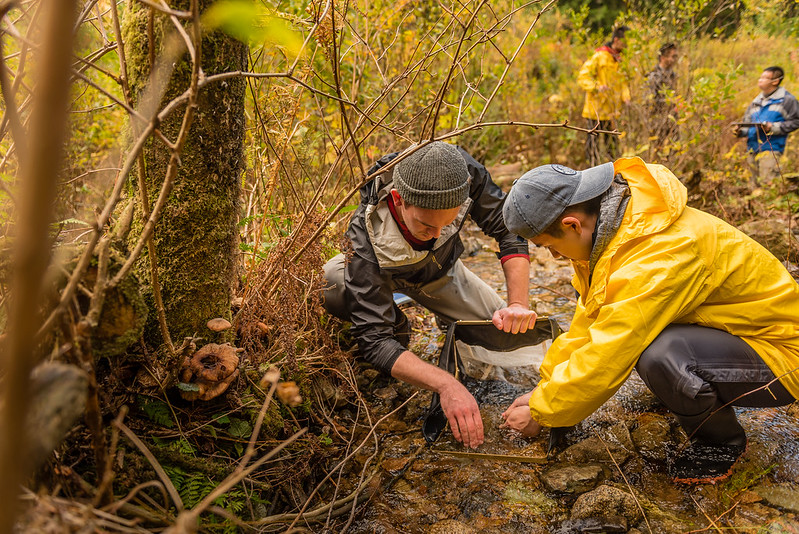 UBCForestry's tweet photo. Happy #WorldEnvironmentDay! 🌎🌱 We are lucky at #UBCForestry to be able to work in so many different environments due to those who cared for the land before us.

🗻 Check out our programs to see how you can gain skills to protect our planet: https://t.co/VHKdh1Sjuy https://t.co/ym7atorL4D