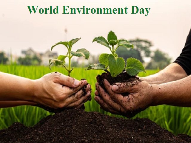 ASEZambia's tweet photo. Happy World Environment Day

At SEZ, we are always developing new solutions to help Zambia with her Clean Energy Transition. Today, let World Environment Day be the day you join us! 
Whether you are a business or a homeowner, we offer tailored solutions to meet your energy needs. https://t.co/593KaJ0dz3