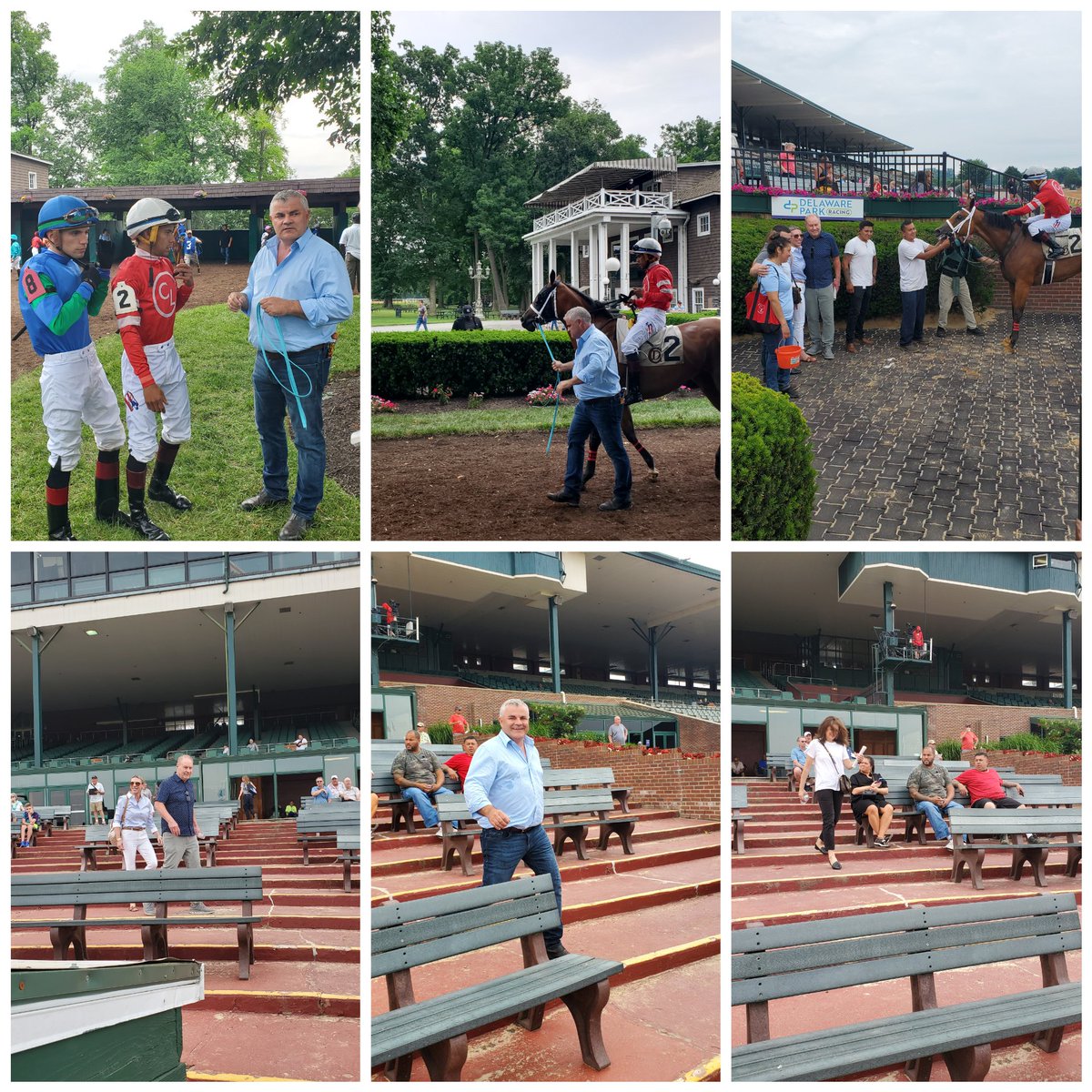 Saddles and Sulkies tweet media
