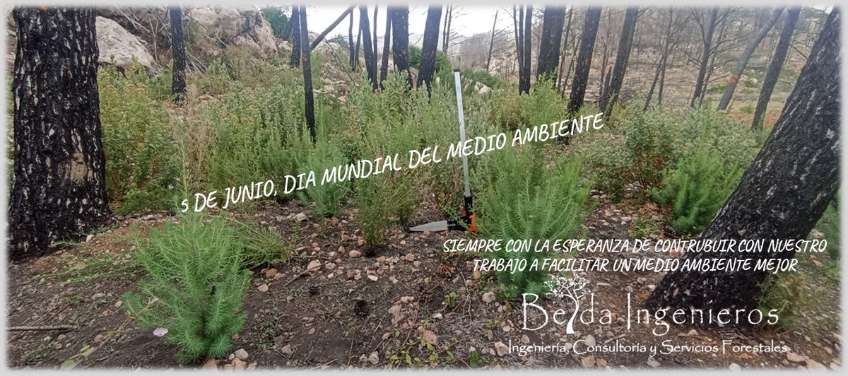 David Belda Miró (@david_belda_ing) on Twitter photo 