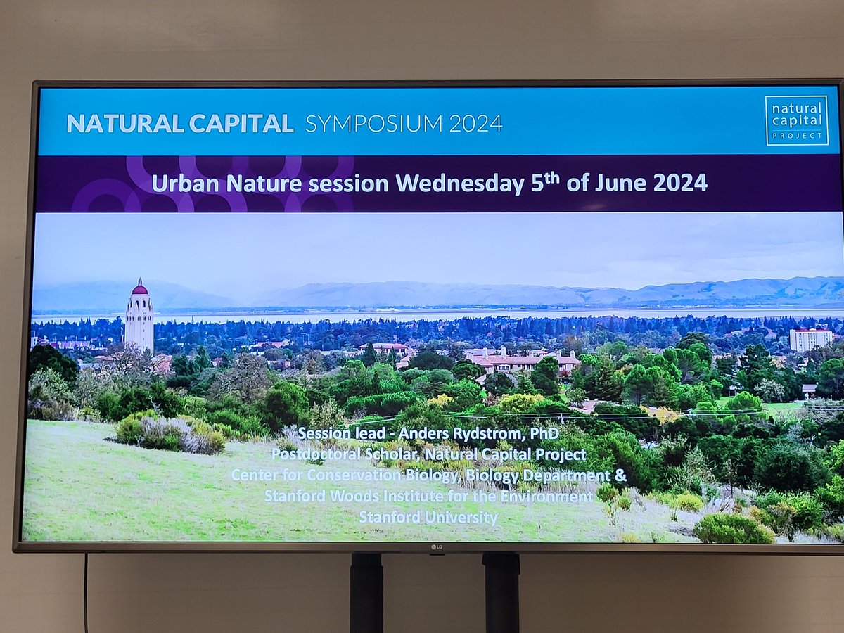 Today Yuanyuan Mao and I presented our research on #urban #nature from <a href="/LeidenScience/">Leiden Science</a> at #NatCap2024, showcasing how nature impacts humans and other species in cities, across scales and nature types in an inspiring urban session by <a href="/NatCapProject/">Natural Capital Project</a> 🌳🐞👧🏻🌱