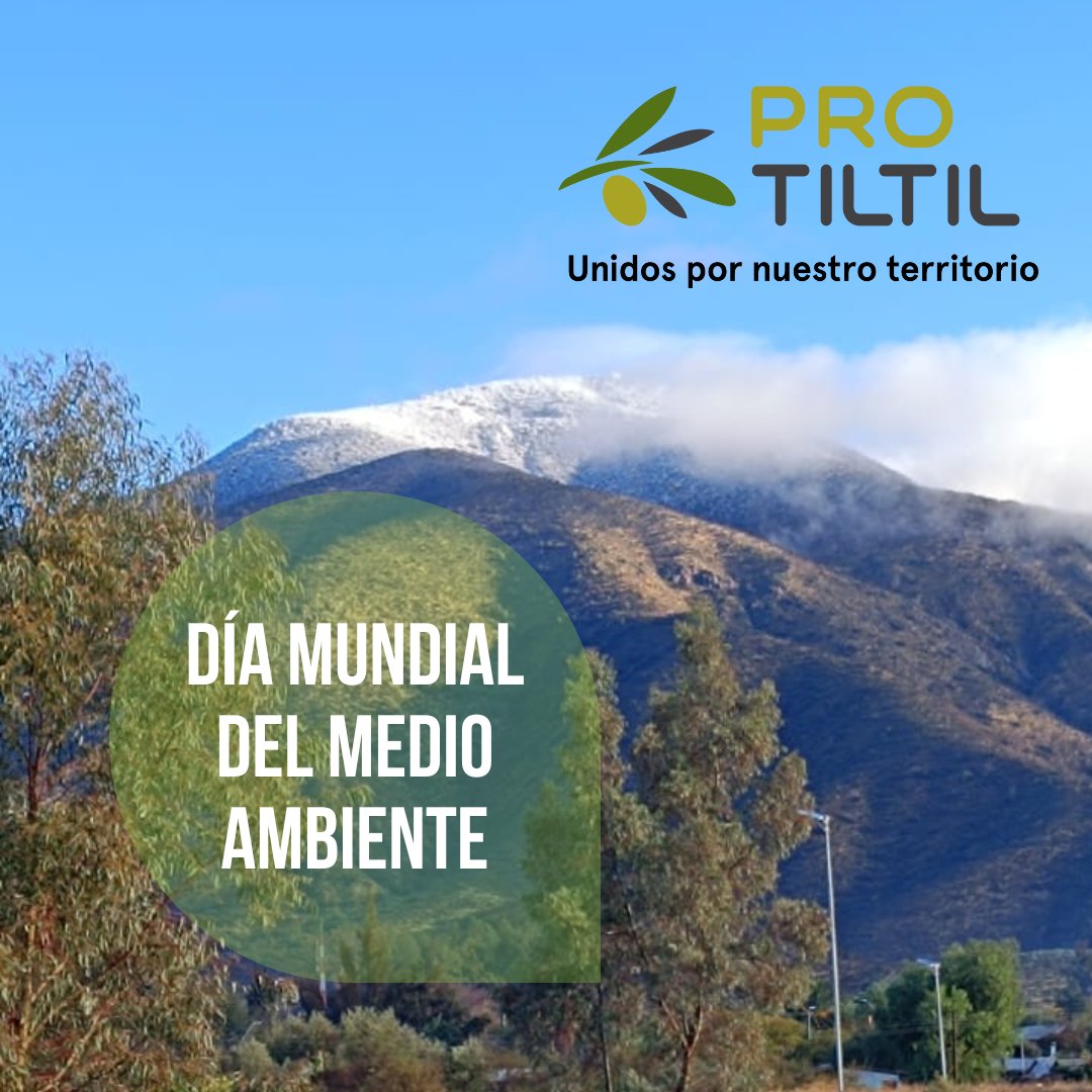Hoy celebramos el Día Mundial del Medio Ambiente. ¡Junto con nuestras empresas socias Anglo American,  Codelco Andina, EcoAZA, ISA Intechile, KDM Empresas, Magotteaux, Polpaico, Santiago Solar y Westfalia Fruit Chile, reafirmamos nuestro compromiso con un Tiltil sostenible!