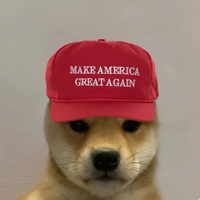UnstableWhale's tweet photo. 3 #SolanaMemeCoins I’m bullish on under 100k mc
$BENJAMOON
$WELLOW
$WifMaga
#Solana #Memecoins #Sol #Wif #Boden #Tremp #Wellow #Benjamoon #WifMaga #Mother https://t.co/62OEKyBJd9