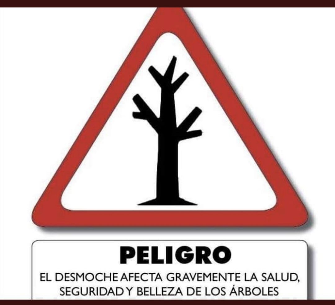 Esmeralda Mujica tweet media