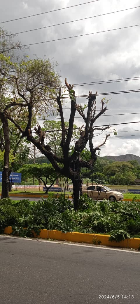 Esmeralda Mujica tweet media