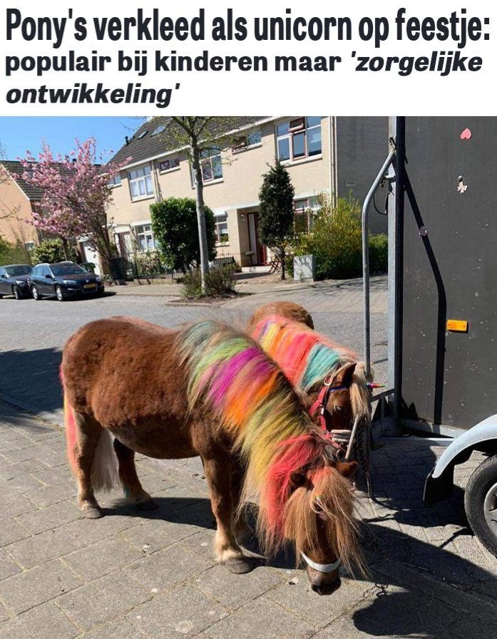 huismuizen's tweet photo. Unicorns zijn populair. Op kinderfeestjes kun je een pony huren die beschilderd/verkleed is als unicorn. Op sommige feestjes mogen de kinderen de pony zelf beschilderen. Ze mogen ermee rijden, borstelen, op de foto etc. Leer je kind niet dat dieren inzetten voor vermaak juist is! https://t.co/XhODnqSEKJ