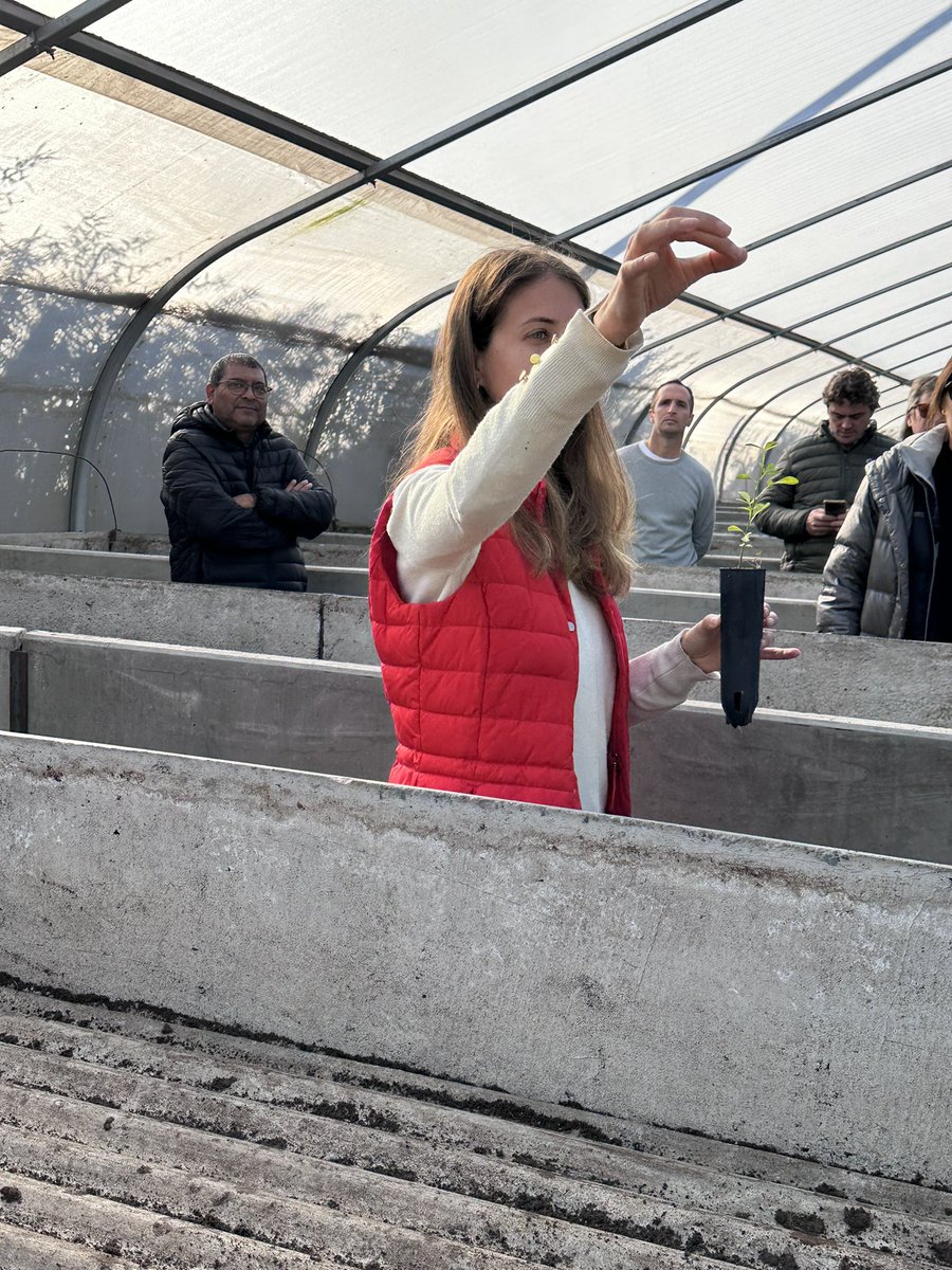 Sofia_Guigou's tweet photo. Ser productor implica: inversión en investigación, precisión y trazabilidad de producto, cuidado y consciencia de los recursos con los que trabajamos, que son los mismos tanto si producimos limones o granos. 

#agronegociosbayer @AgroBayerAR #diadelmedioambiente https://t.co/aZzPPUCGrq