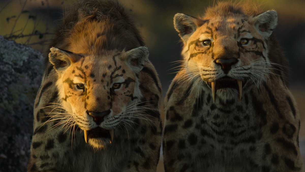 RED_Cinema's tweet image. Dive into the extraordinary world of #LifeOnOurPlanet on Netflix! This docuseries blends stunning DOP by Jamie McPherson &amp;amp; team w/ state-of-the-art CGI. From tracking T-Rex to capturing Komodo dragons, it redefines natural history storytelling. READ MORE►red.com/stories/life-o…