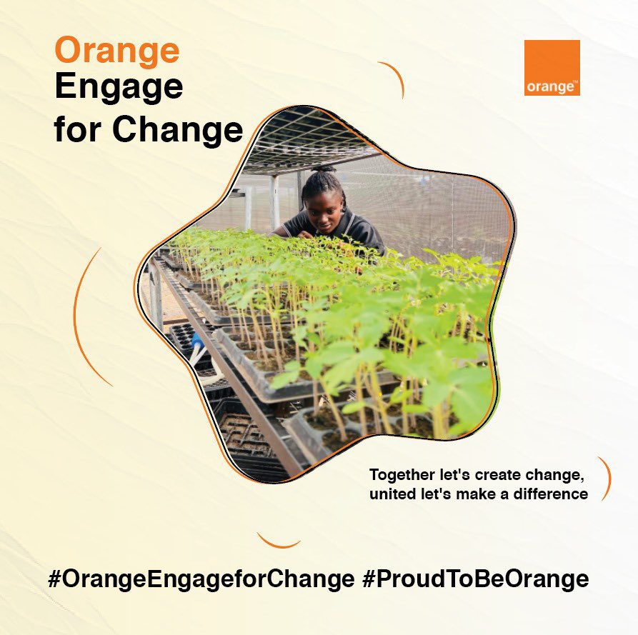 YAOJEANMARIUS's tweet photo. 🌍 We officially launched #OrangeLiberia #EngageForChange campaign, reaffirming our commitment to environmental sustainability &amp; social inclusion in 🇱🇷 . To commemorate #WorldEnvironmentDay, we led by example, cleaning the city and starting to plant 500 trees! 🌱
@OLIB_Foundation https://t.co/XNa5YhRwkk