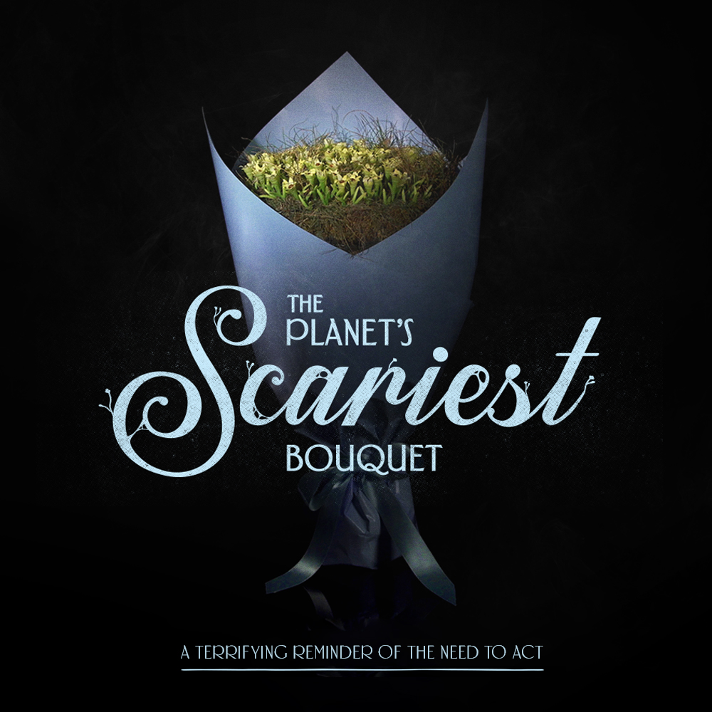 Kelly Flynn tweet media