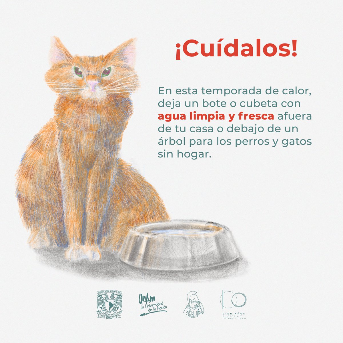 Cuidemos a los animales en situación de calle. En esta temporada de calor, un poco de agua fresca y limpia les salvará la vida. 

#FILOS100