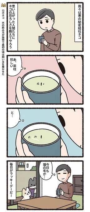 悪の秘密結社ネコ 猫と運勢編
#悪の秘密結社ネコ 