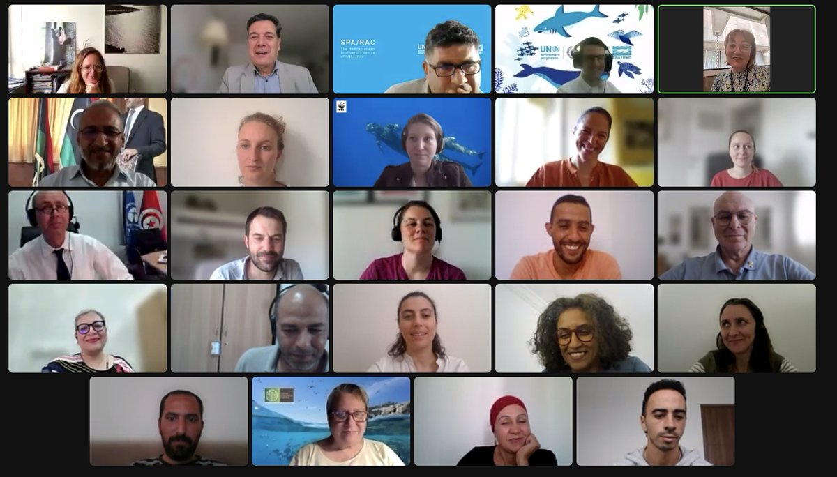 SPARACinfos's tweet photo. Today, we held the 10th Meeting of the #SAPBIO National Correspondents to discuss the mid-term assessment approach and agree on the way forward. We are now set to launch this assessment and path the way to achieve our 2030 objectives.
#Act4Med #BarcelonaConvention https://t.co/8imHRAKDc6