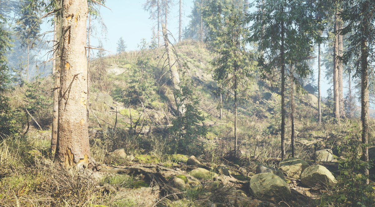 Santeri Oksanen (@saok.bsky.social) tweet media