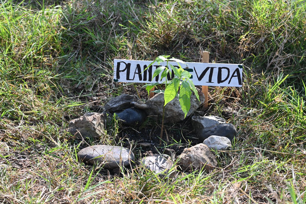 En el Día del Medio Ambiente, celebramos a los proyectos y emprendedores comprometidos con la sostenibilidad. 🌍💚 ¡Juntos somos el cambio que el planeta necesita! #DiaDelMedioAmbiente #SomosElCambio #AcciónSocial