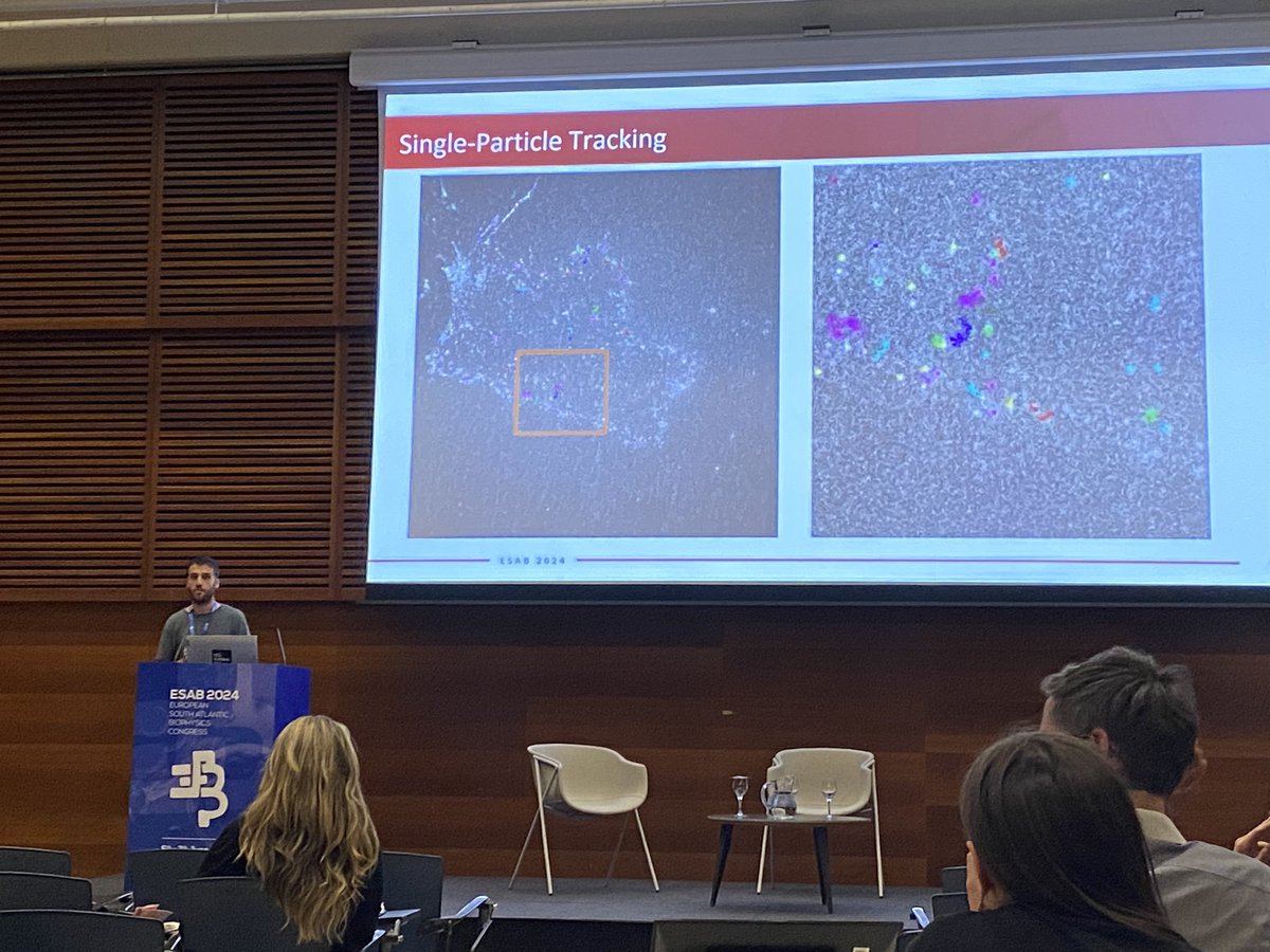 Marta Cullell tweet media