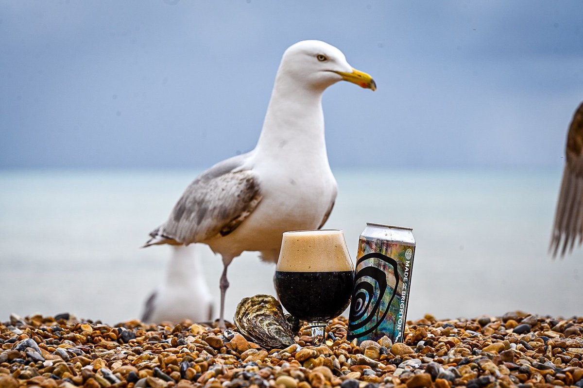 Anthony Pender (@anthonypender4) on Twitter photo 