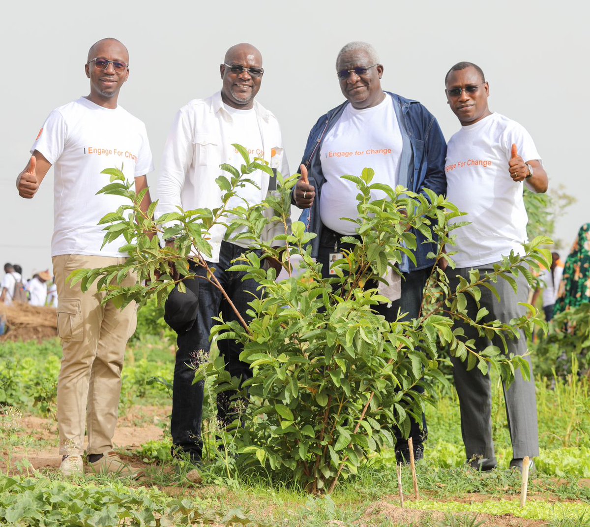 Le lancement officiel de #Engageforchange chez <a href="/OrangeBurkina/">Orange Burkina Faso</a> a été marqué par une mobilisation exemplaire des salariés pour la plantation d’arbres au bosquet Orange à Ouagadougou. Cette forte implication reflète l’engagement d’#OBF au service du développement durable.