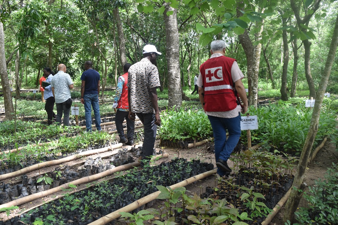 bhupinder_tomar's tweet photo. On this #WorldEnviornmentDay, we @IFRCAfrica @ghanaredcross spent a day with @fcghana2020 discussing a new partnership to restore land, grow/restore forests and improve community resilience to droughts. https://t.co/P0RAIrKVp9