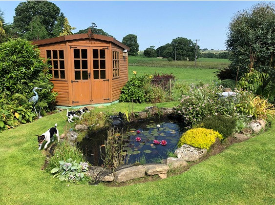 HTrail2019's tweet photo. Willow is used to support plants, form sculptures, and create shelter. Some willow obelisks available to buy on the day.  Visitors can sit on the terrace and admire the north-facing view over wetlands and woodland! It's absolutely idyllic! #Hexhamshire #gardentrail #Tynedale https://t.co/40GuZUTgHp