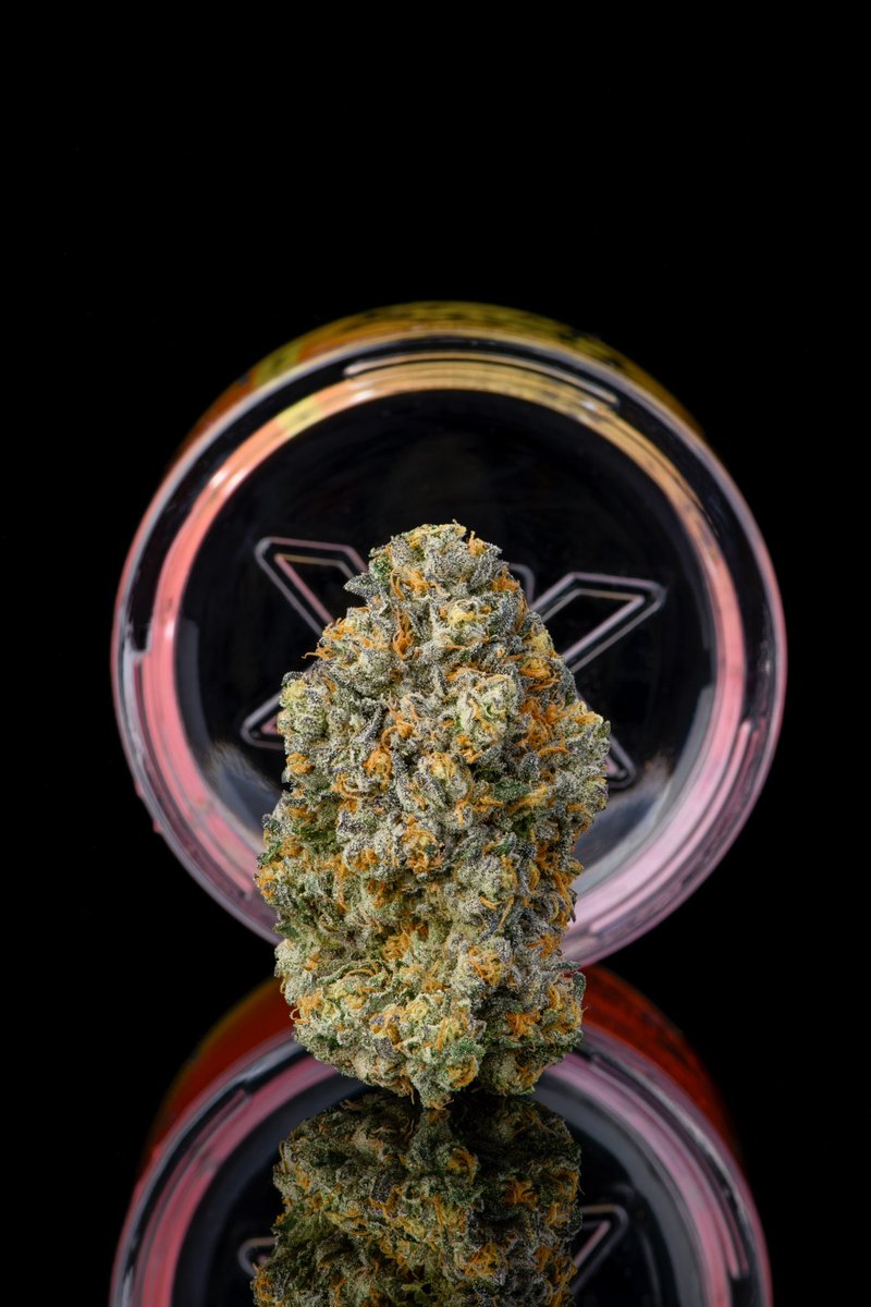 🚨ANNOUNCING🚨 The latest addition to our family BABY TURTLE: 
This is straight gas crossing our signature KK X Jokerz 31 ⛽️🐢 
Frosted with trichomes on trichomes, delivering potent lemon &amp; piney aromas

Save the date: June 11th at 3pm 

Officially launching with Wiz at Calma 🚀