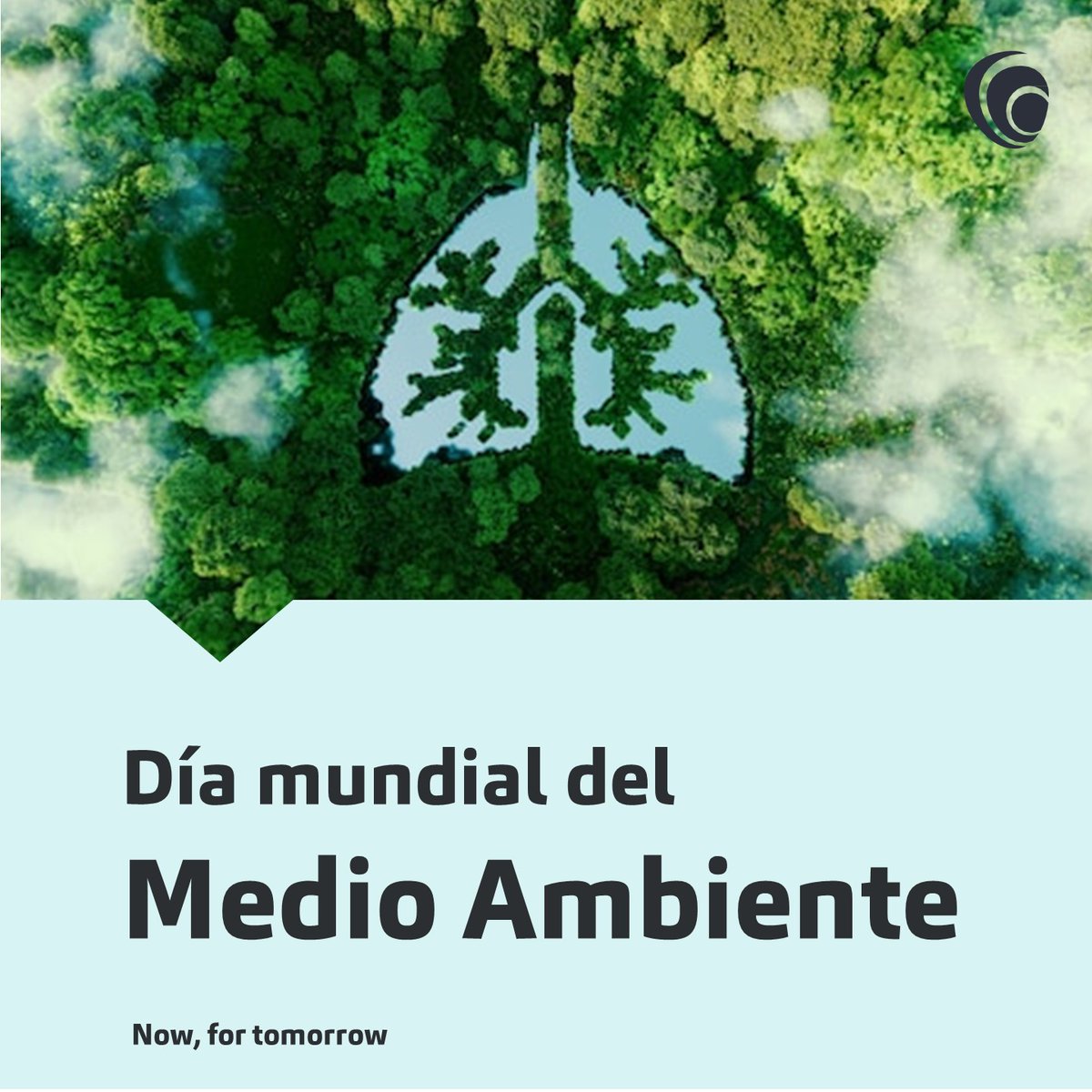 🌱El #DíaMundialdelMedioAmbiente nos recuerda que debemos optar por decisiones conscientes que preserven nuestro entorno natural.
💧 Controlar las fugas de agua.
👏Desenchufar los aparatos eléctricos
🌎 Reciclar y reutilizar

#BakerTillyVenezuela #Restauracion
#sostenibilidad