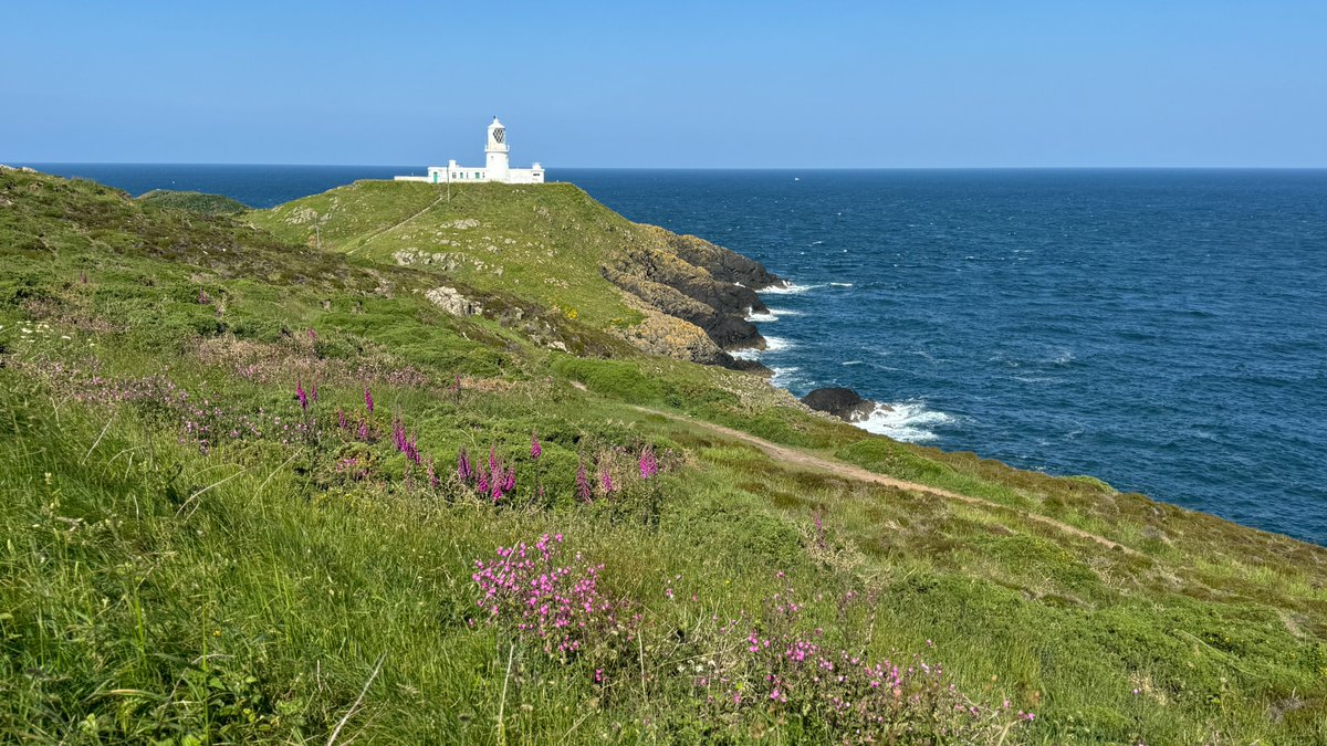 Pembs Coastal Forum tweet media