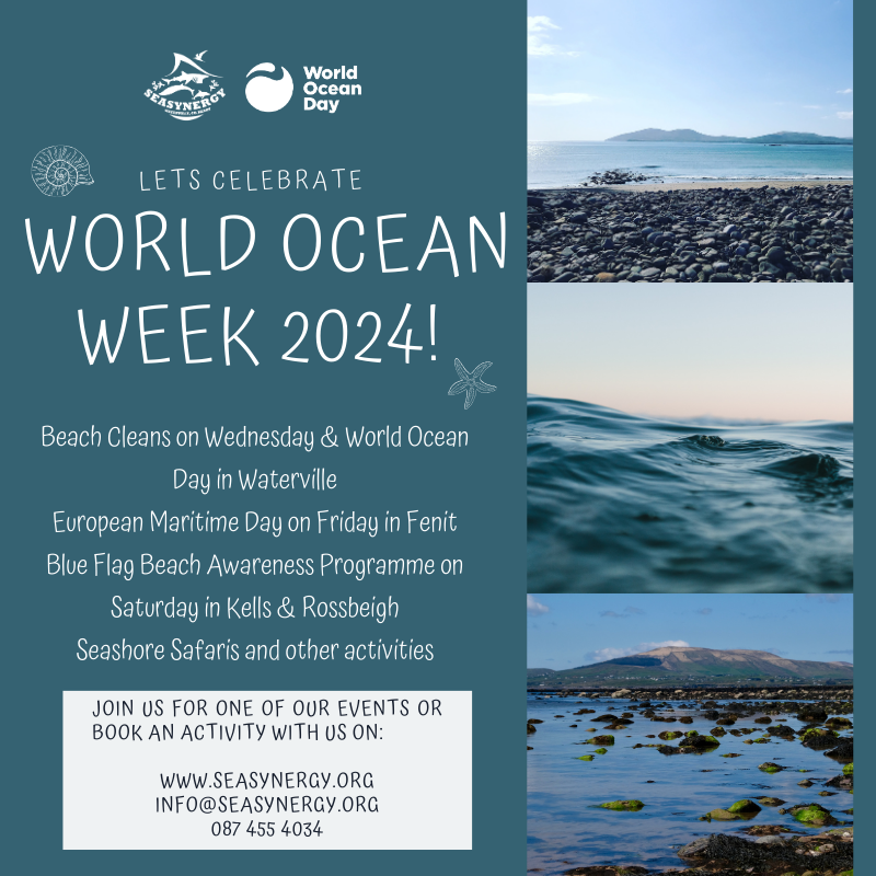 sea_synergy's tweet photo. Join our celebration of #WorldOceanWeek this week with multiple events and activities along the #KerryCoast with @CleanCoasts @MissionBlue @explorersedu @MarineInst @NPWSIreland @countykerry @BlueFlagIreland @npwsBioData @DeptHousingIR #LBAF https://t.co/12s3UyhViM