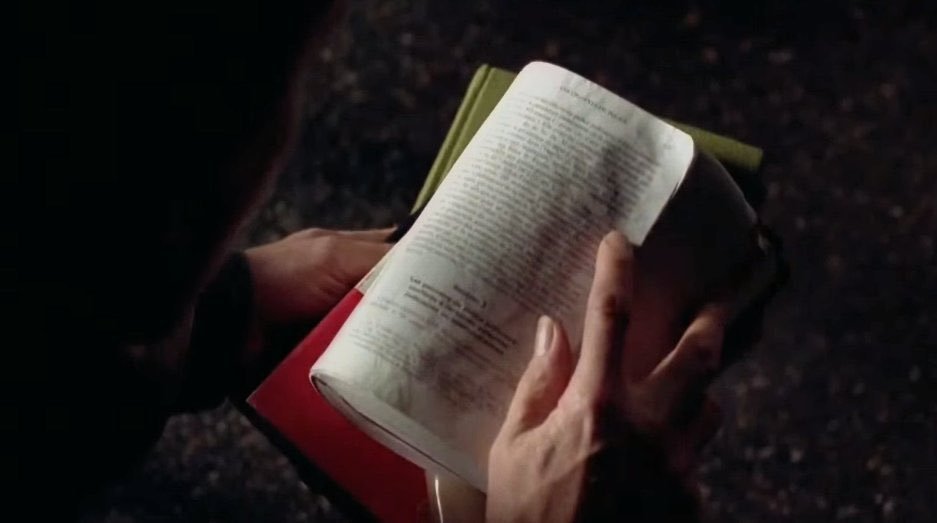 TheCinesthetic's tweet photo. three colours: red (1994) dir. krzysztof kieślowski https://t.co/MJzNBZgijd