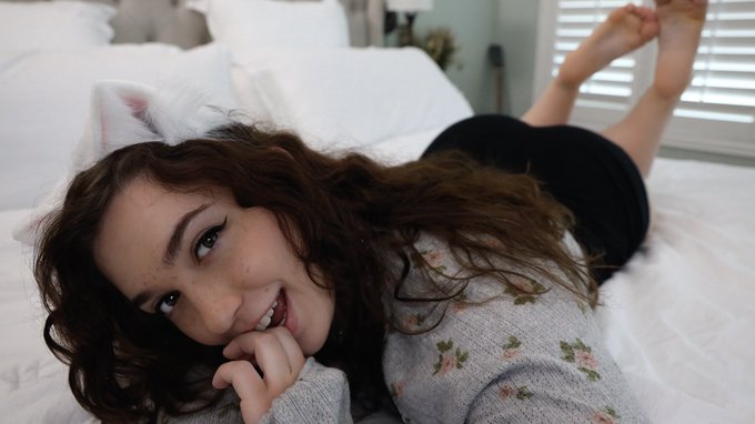 can this kitty give u kisses??? (=^･&omega;･^=)♡ *:･ﾟ✧ https://t.co/fAgjpM2u9p