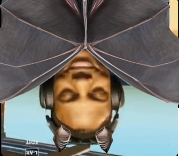 KozakyAkagi's tweet photo. 🦇 ) ) ) ) ) ) ) ) ) ) 🦇
🦇 ) ) ) ) ) ) ) ) ) ) ) ) 🦇
🦇) ) )🦇 https://t.co/oI3YGay6SY