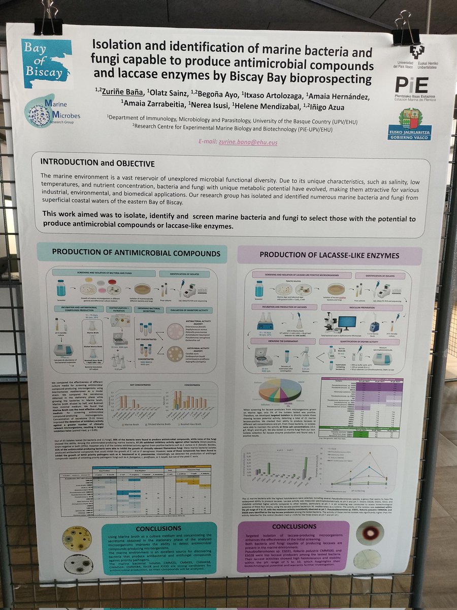 Mikrobio Itsastarrak Ikerketa Taldea tweet media
