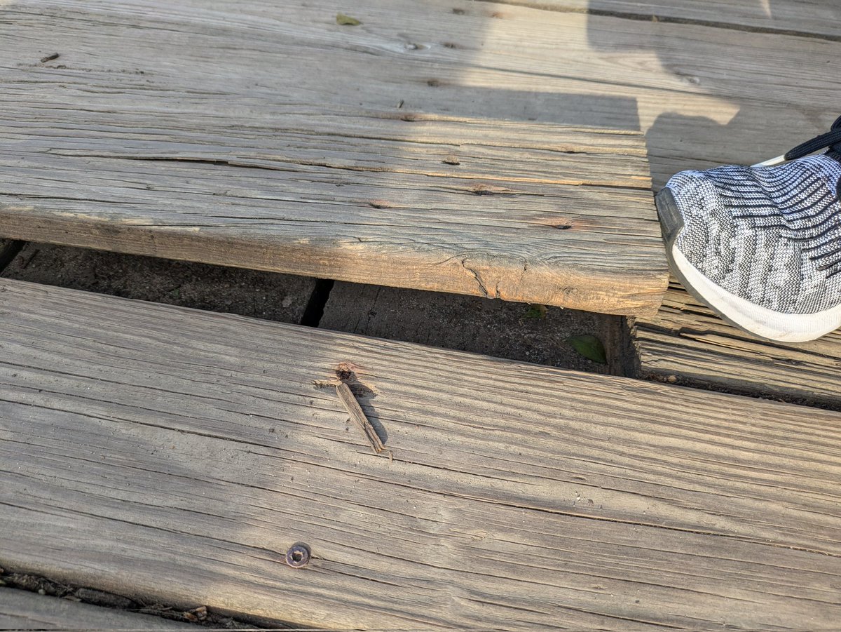 CorporateAccountabilityEnforcement tweet media