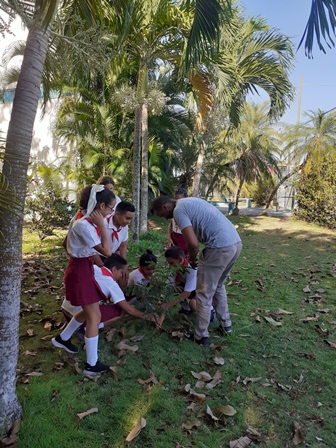 OctavioPrimaria's tweet photo. En la mañana de hoy en nuestro centro se realiza la siembra de un árbol en Conmemoración al día mundial del Medio Ambiente. @CarloscOlmo @dmesantaclaravc @liemodpe  @FarinaEstevez  @LienMons  @Yamilet50088609   @SaerySerrano  @DiazCanelB  @elsa_ena  @DiazCanelB   @CubaMined https://t.co/MWq7WVkFGI